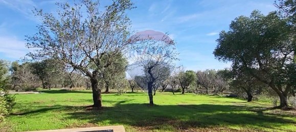 5 rooms House in Ceglie Messapica, Italy No. 36100 7