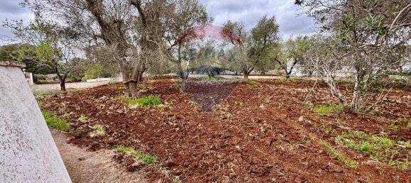 5 rooms House in Ceglie Messapica, Italy No. 36100 14