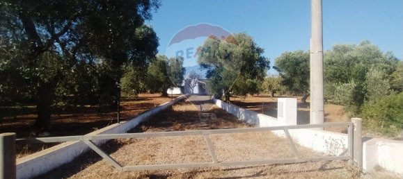 5 rooms House in Ceglie Messapica, Italy No. 36100 8