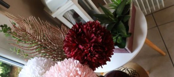 3-salle Appartement à La Chapelle-Saint-Mesmin, France No. 223480 4