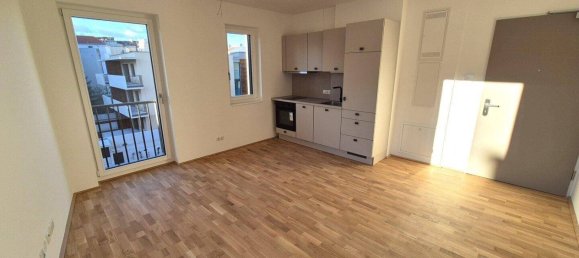 Studio in Krems an der Donau, Austria, Nr. 226160 2