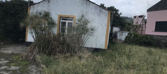 3 bedrooms House in Praia da Vitoria, Portugal No. 183803 10