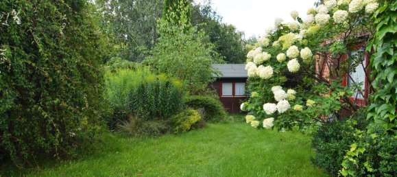 2 chambres Maison de ville à Plon, Germany No. 351127 5