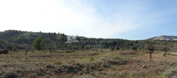  قطعة أرض في Hondon De Las Nieves, Spain 23000متر مربع رقم 97809 2