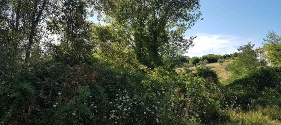 Land in Polverigi, Italy No. 362496 16