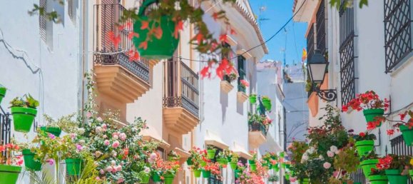 3 غرف نوم شقة في Estepona, Spain رقم 166791 35