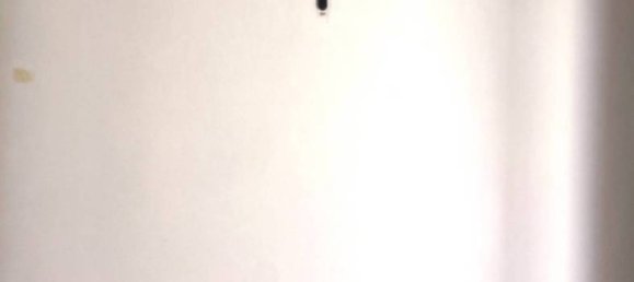 5 rooms Commercial property in Gaglianico, Italy No. 43599 17