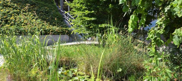 6-Zimmer Haus in Mödling, Austria, Nr. 126229 3