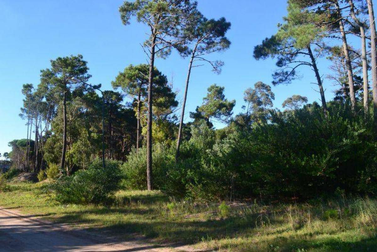  Land in Mar del Plata, Argentina No. 113681