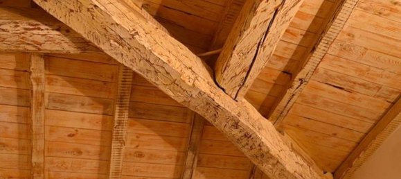 استوديو في Orbetello, Italy رقم 46609 13