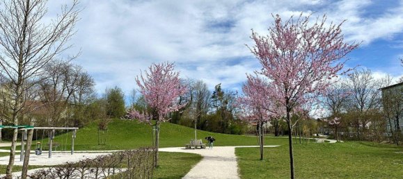 4غرفة شقة في Wels, Austria رقم 128317 5