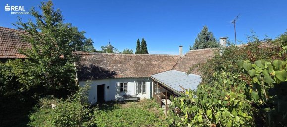 Casa de 5 divisões em Schrattenthal, Austria N.º 254903 4