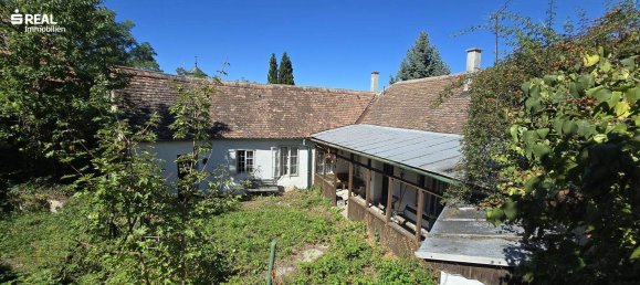 Casa de 5 divisões em Schrattenthal, Austria N.º 254903 22