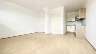 2 rooms Apartment in Gries, Austria No. 175520