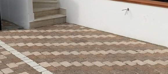 3-Zimmer Haus in Ardea, Italy, Nr. 256891 3