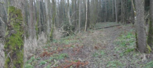  Land in Bayreuth, Germany No. 243316 14