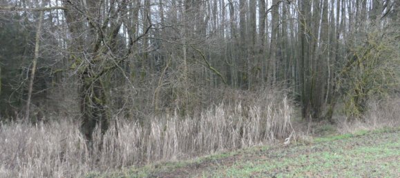  Land in Bayreuth, Germany No. 243316 10