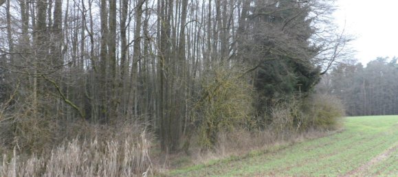  Land in Bayreuth, Germany No. 243316 11