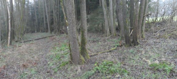  Land in Bayreuth, Germany No. 243316 15