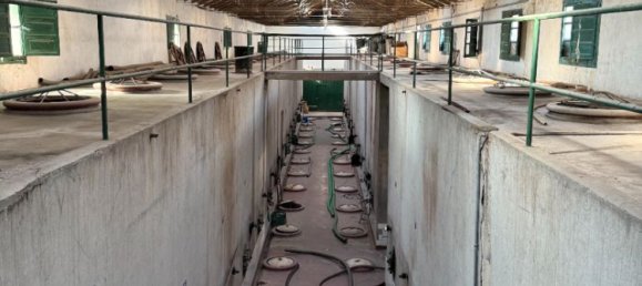 1936m² Warehouse in Arganda del Rey, Spain No. 175561 10