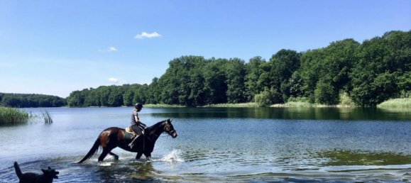 Duplex T1 em Dahlem, Germany N.º 233563 18