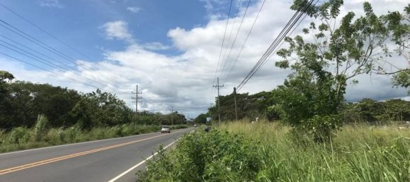 Земельный участок в Либерия, Коста-Рика № 1778 5