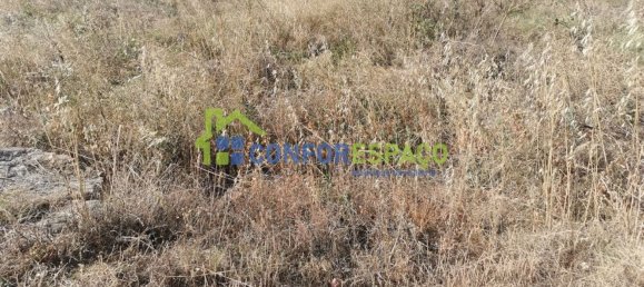 500m² Land in Castelo Branco, Portugal No. 82065 5