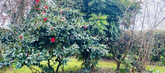 4 غرف نوم منزل في Perissac, France رقم 104677 17