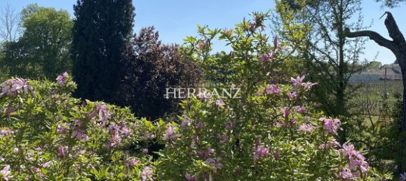 4 غرف نوم منزل في Perissac, France رقم 104677 5