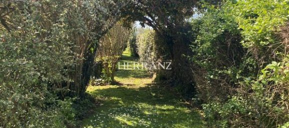 4 غرف نوم منزل في Perissac, France رقم 104677 4