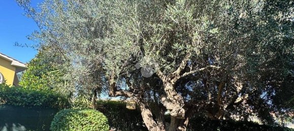 3 غرف نوم منزل في Tuscania, Italy رقم 273195 5