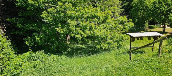 Дом с 7 комнатами в Саарпфальц, Германия № 318737 5