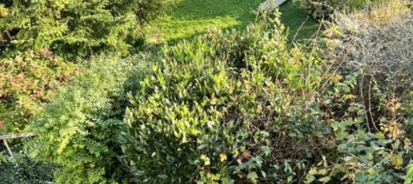 5 bedrooms House in Seine-Maritime, France No. 293877 8