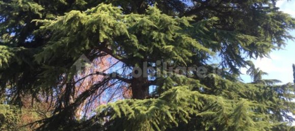 5 bedrooms Villa in Venice, Italy No. 225987 30