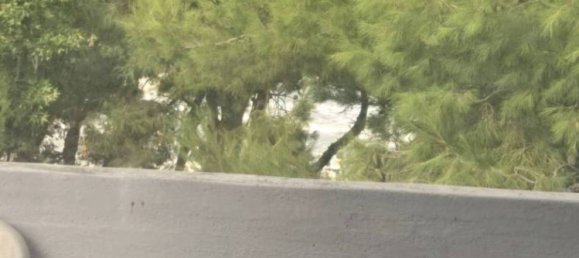 3 غرف نوم شقة في Martinsicuro, Italy رقم 341357 41