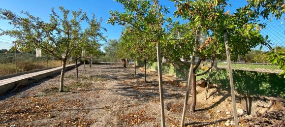 Дом с 5 спальнями в Сакс, Испания № 176473 15