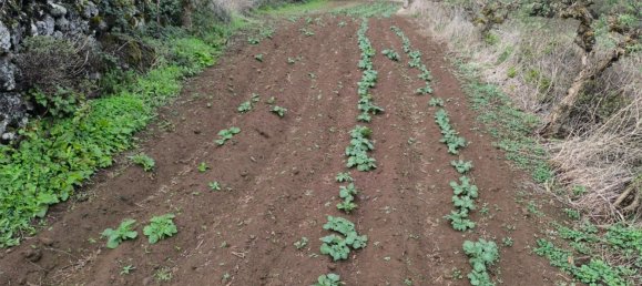  قطعة أرض في Tenerife, Spain 1380متر مربع رقم 140458 13