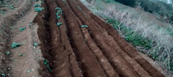  قطعة أرض في Tenerife, Spain 1380متر مربع رقم 140458 10