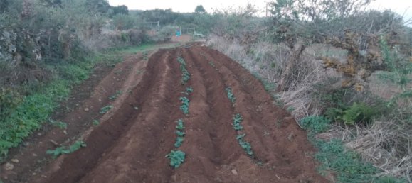  قطعة أرض في Tenerife, Spain 1380متر مربع رقم 140458 11