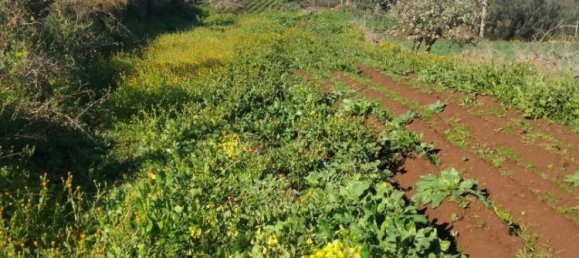  قطعة أرض في Tenerife, Spain 1380متر مربع رقم 140458 2