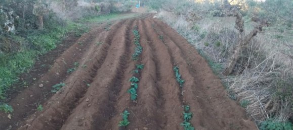  قطعة أرض في Tenerife, Spain 1380متر مربع رقم 140458 9