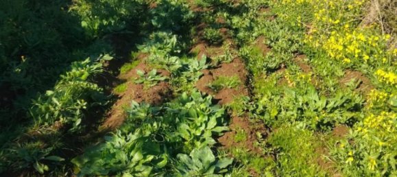  قطعة أرض في Tenerife, Spain 1380متر مربع رقم 140458 6