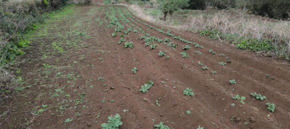  قطعة أرض في Tenerife, Spain 1380متر مربع رقم 140458 16