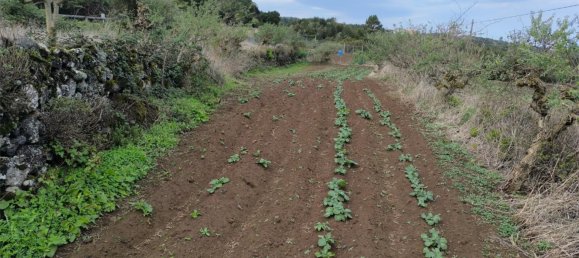  قطعة أرض في Tenerife, Spain 1380متر مربع رقم 140458 14