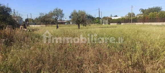 قطعة أرض في Augusta, Italy 1312متر مربع رقم 61299 26