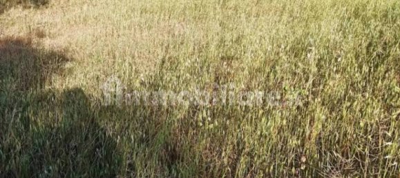 قطعة أرض في Augusta, Italy 1312متر مربع رقم 61299 22