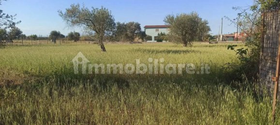 قطعة أرض في Augusta, Italy 1312متر مربع رقم 61299 17