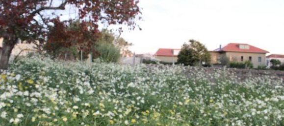 4 chambres Châteaux à Arcozelo, Portugal No. 49863 23