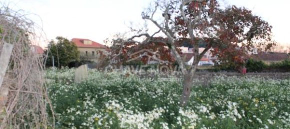 4 chambres Châteaux à Arcozelo, Portugal No. 49863 24