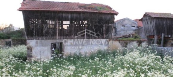 4 chambres Châteaux à Arcozelo, Portugal No. 49863 25